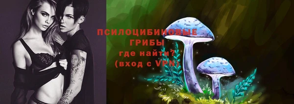 мескалин Алексин