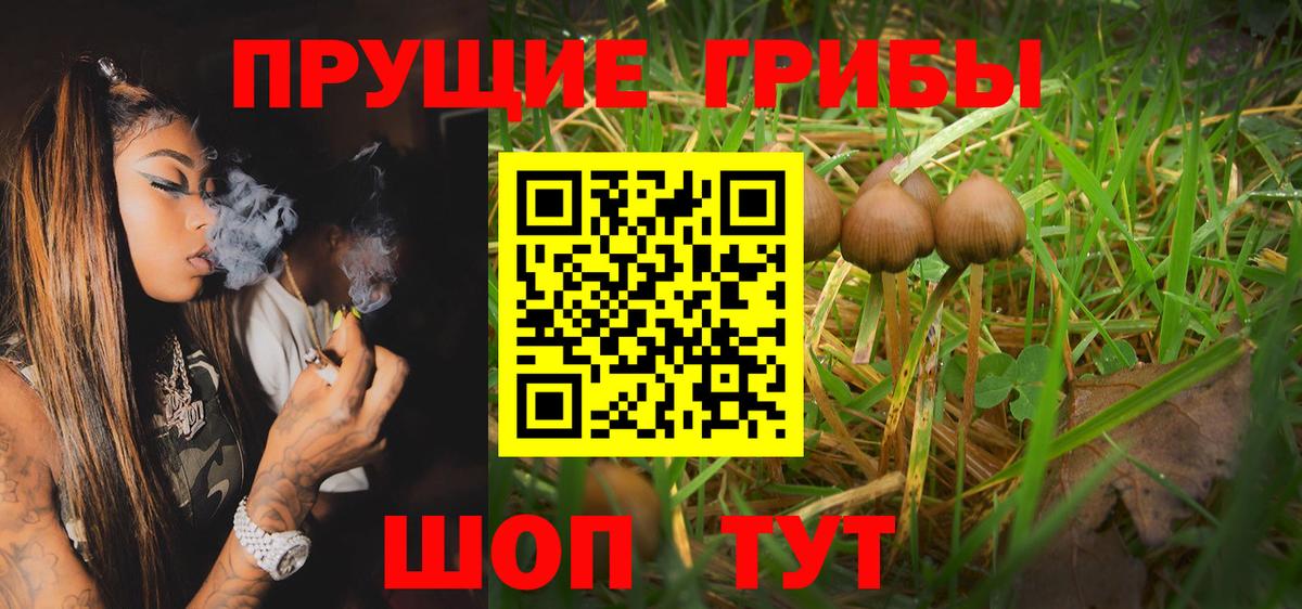 Галлюциногенные грибы Psilocybe  Вход с VPN  Ярцево 
